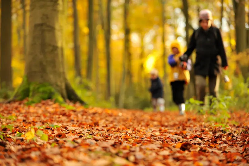 Blaren tijdens je herfstwandeling? Kijk eerst naar je sok